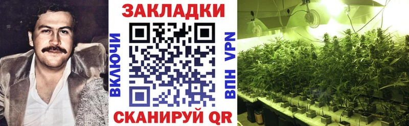 Где продают наркотики Ессентукская КОКАИН  Меф мяу мяу  ГАШ  АМФ  МАРИХУАНА  А ПВП 