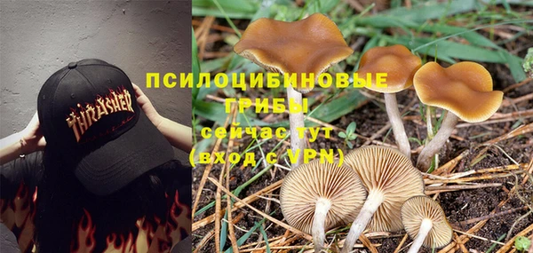 гидра Бугульма