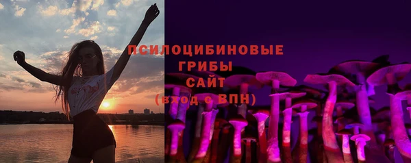 гашик Бронницы