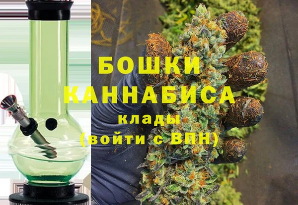 гидра Бугульма
