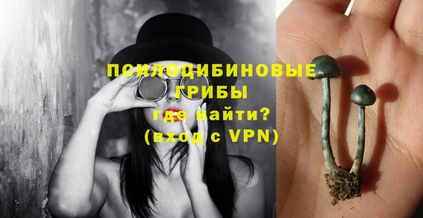 МДМА Бородино
